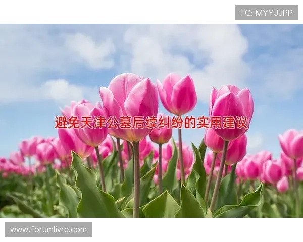 九游娱乐体育安全保障措施：保障用户信息安全与资金安全的实用建议